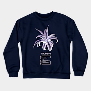 Agave americana &#39;Mediopicta-alba&#39; Crewneck Sweatshirt